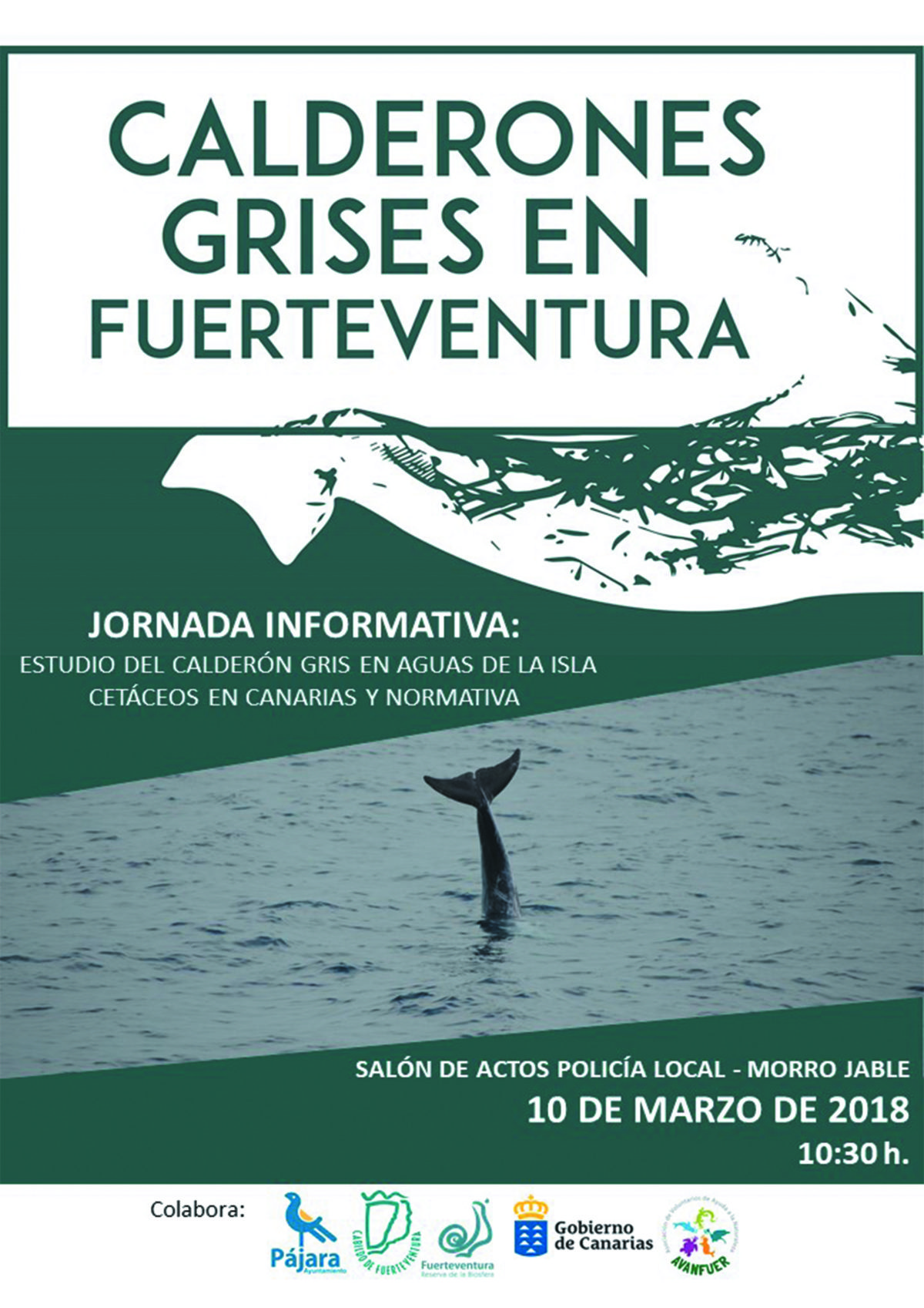Alberto Sarabia imparte en Morro Jable una jornada informativa sobre el estudio del calderón gris en aguas de Fuerteventura
