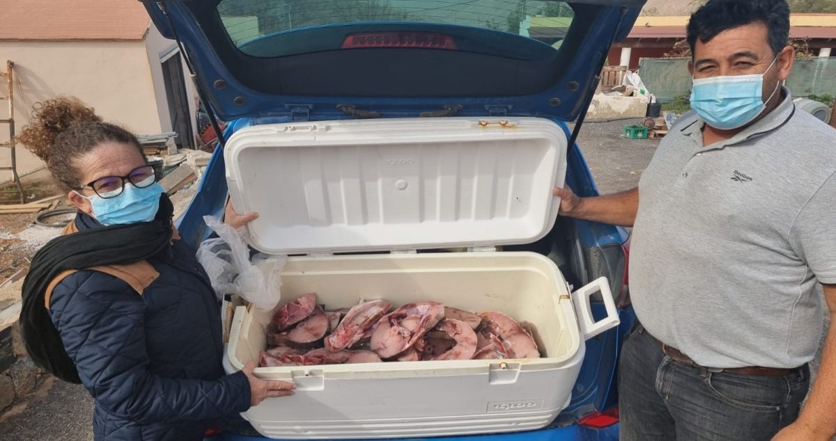 El Ayuntamiento entregará al banco de alimentos de Pájara 70 kilogramos de medregal fresco para repartir entre familias desfavorecidas