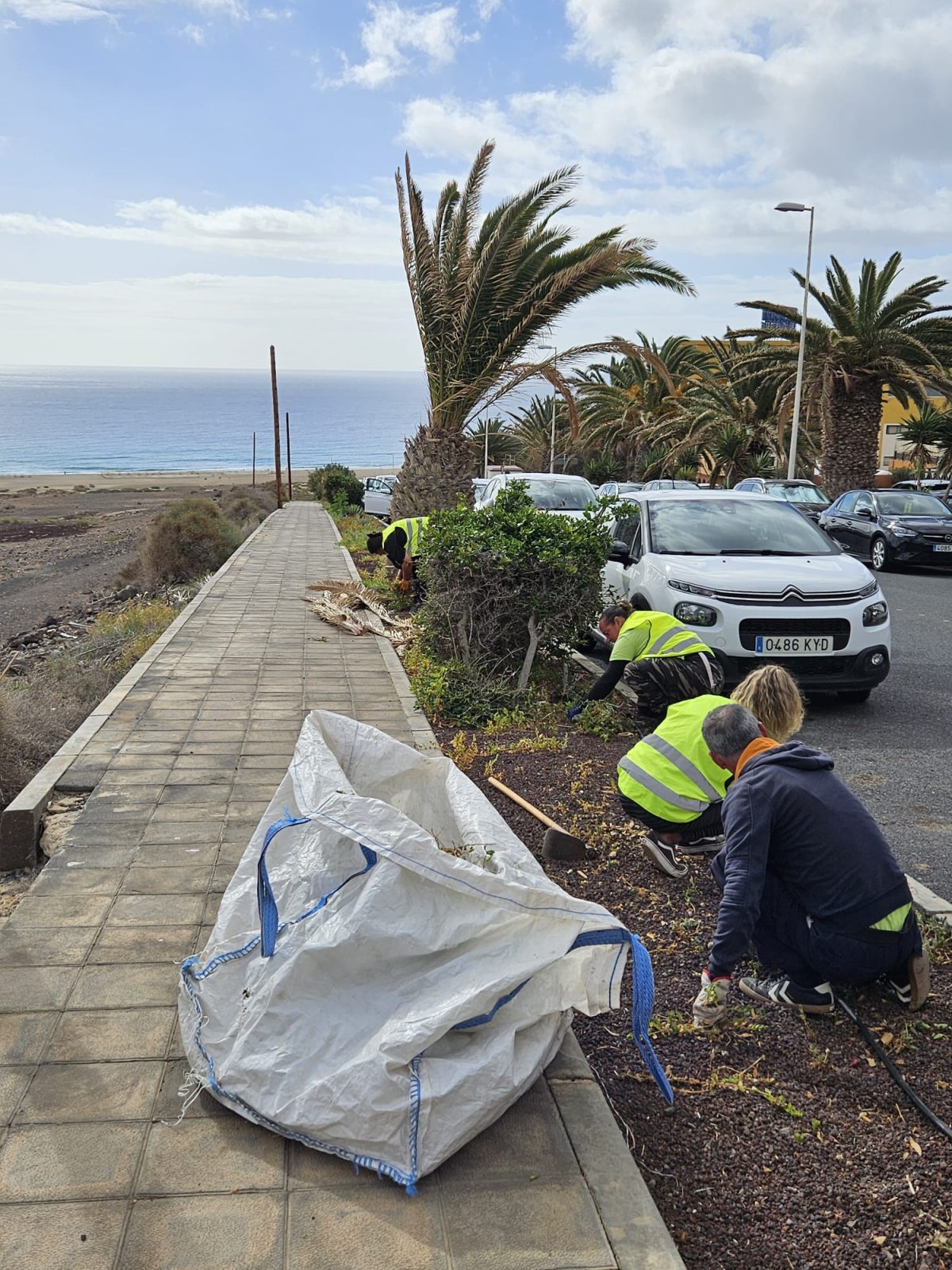 El Ayuntamiento acomete varias actuaciones de limpieza y habilita nuevos aparcamientos en el municipio