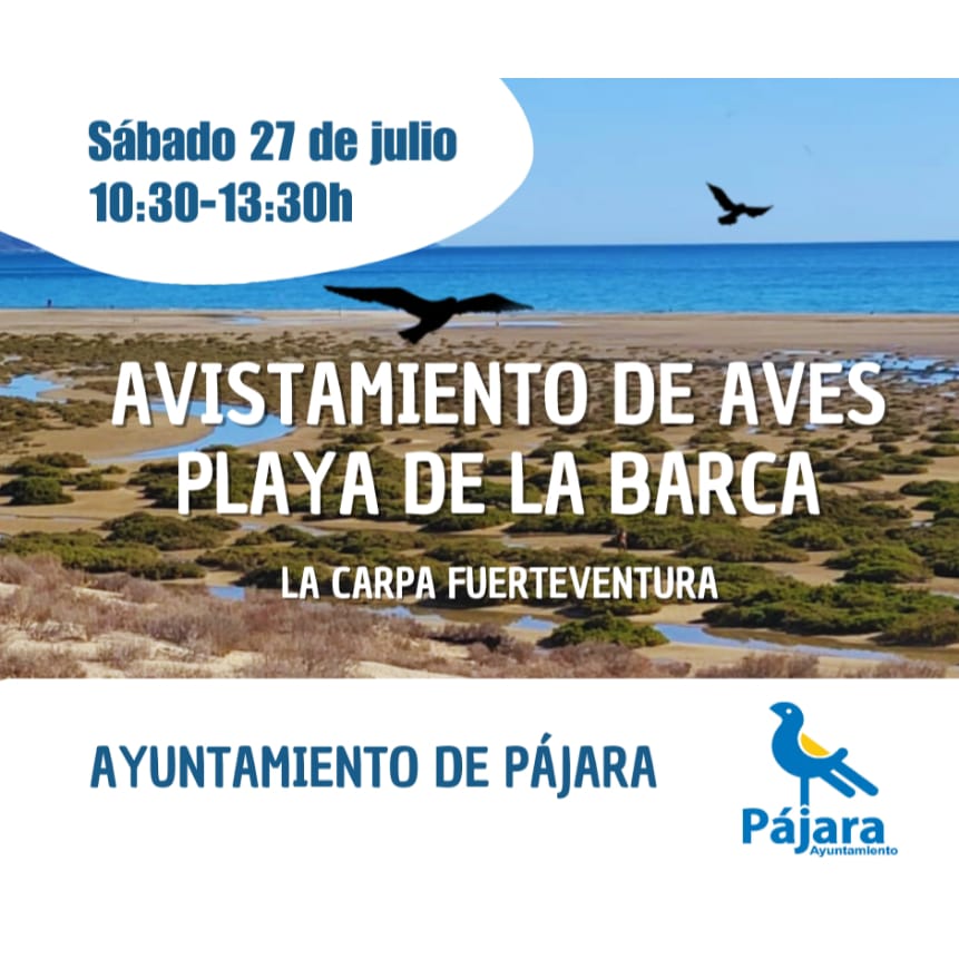 El Ayuntamiento de Pájara organiza varias actividades de educación ambiental en la Carpa de Fuerteventura