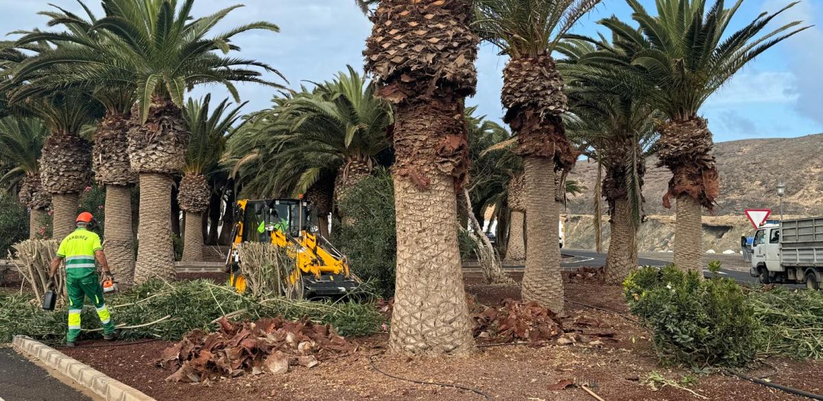 El Ayuntamiento de Pájara ejecuta actuaciones de limpieza y embellecimiento de los jardines de Ajuy